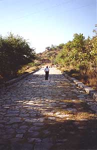 Dr. Abdul Rehman Standing on the Grand Trunk Road